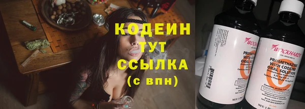 прущие крисы Бородино